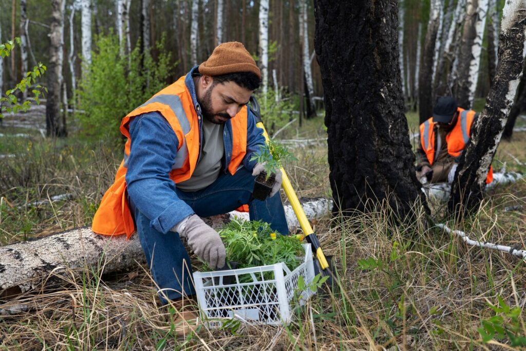 Plant/Tree Health